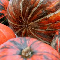 Осень — время тыквы! Полезные свойства тыквы и три потрясающих способа ее приготовить