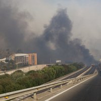 Čīlē meža ugunsgrēkos 51 bojāgājušais; valstī izsludina ārkārtējo stāvokli