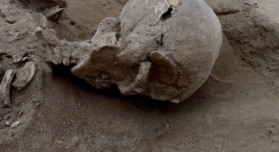 Раскрыта тайна захоронения братской могилы 15 человек бронзового века