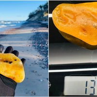 Подарок природы: Илзе из Вентспилса нашла на берегу моря янтарь внушительных размеров