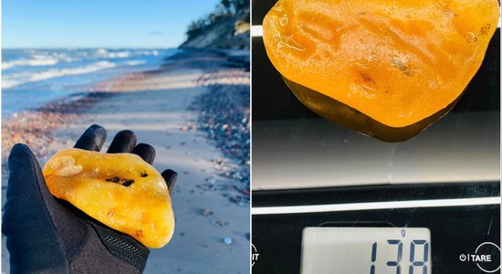Подарок природы: Илзе из Вентспилса нашла на берегу моря янтарь внушительных размеров