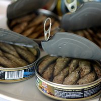 В России также хотят запретить рыбные консервы из США и Европы