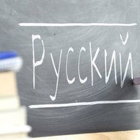Сейм отверг инициативы Нацобъединения о полном переходе на латышский язык обучения и отъеме ВНЖ у граждан РФ