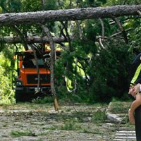 Foto: Amerikāņi atkopjas pēc orkāna 'Hermīne' plosīšanās Floridā