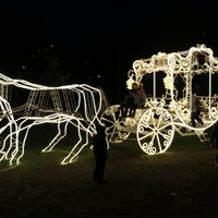 ФОТО. Сияющие деревья и карета из 60 тысяч лампочек – Огре готовится к зимним праздникам
