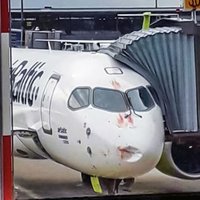 ФОТО: самолет airBaltic после столкновения с птицами