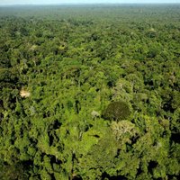 В джунглях Амазонки нашли сбежавшую от пиратов семью американцев