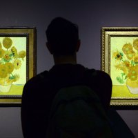 Пять "Подсолнухов" Ван Гога впервые показаны вместе