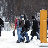 Норвегия начала строить забор на границе с Россией