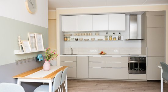 Kā efektīvi un ērti iekārtot virtuvi, kas apvienota ar dzīvojamo istabu