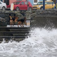 Vētra 'Ofēlija' liek Īrijā slēgt valsts iestādes; trīs bojāgājušie