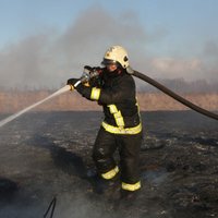 Ceturtdien reģistrēts šosezon lielākais vienā diennaktī dzēsto kūlas ugunsgrēku skaits