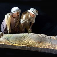В египетском саркофаге найдена могила мумифицированного зародыша