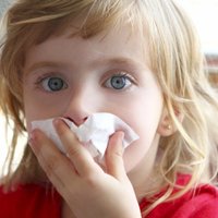 Детей с симптомами простуды просят не приводить в школы