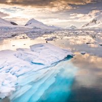 Льды Антарктиды тают все быстрее. Почему?