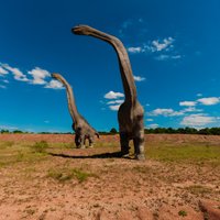 Pētījums: Dinozauru skeleti sniedz maldīgu priekšstatu par aizvēsturisko rāpuļu izmēru
