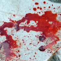ВИДЕО: Девушка-боец умылась кровью в драке на ринге в железной клетке