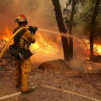 Pie nacionālā parka Kalifornijā plosās liels mežu ugunsgrēks