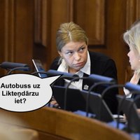 'Cehs.lv': Aicinām atcelt deputātei Grevcovai piespriesto nesamērīgo sodu