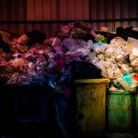 Pārtika nav atkritumi: kā izvairīties no ēdiena izmešanas svētkos un ikdienā