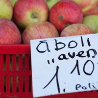 Polijas ābolu pieplūdums tirgū gaidāms augusta beigās; tirgotāji pagaidām mierīgi