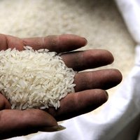 Rietumāfrikā policija uziet pirmo lielo 'plastmasas rīsu' kravu