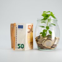 Sliktākā ietekme – mazajām monētām. Svarīgi fakti par eiro un tā iespaidu uz vidi