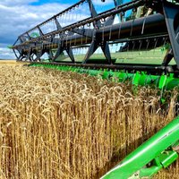 Rīga piesaka ambīciju kļūt par reģiona līderi graudu pārkraušanā