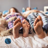 Исследование: женщины засыпают рядом с собакой лучше, чем с партнером или кошкой