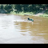Video: Ogres upē apgāžas laiva ar diviem cilvēkiem; iesaistās glābēji