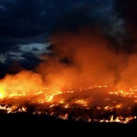 Пожар на военном полигоне в Адажи: на помощь спасателям пришел дождь