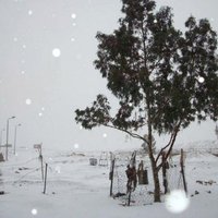 Kairā pēc 112 gadu ilga pārtraukuma uzsnidzis sniegs