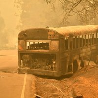 Kalifornijā savvaļas ugunsgrēkā pazudušo skaits pārsniedz 1000