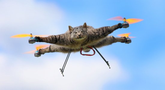 Foto: Kā no miruša kaķa uztaisīt helikopteru