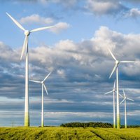 ЕС достиг рекордных показателей в производстве возобновляемой энергии