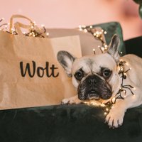 Wolt: жители все чаще заказывают доставку еды для домашних животных