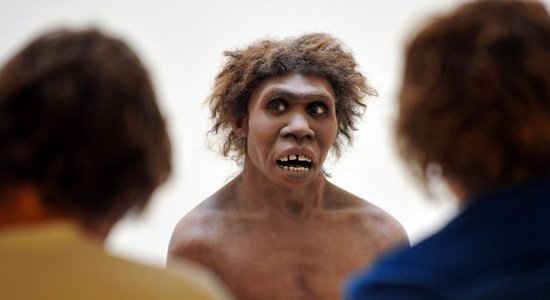 Неандертальцы и Homo sapiens разделились гораздо раньше, чем предполагалось
