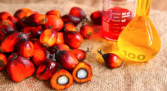 Пальмовое масло: все, что надо знать о его вреде и пользе для человека