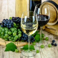 Latvijā mazās vīna darītavas vīnu drīkstēs ražot tikai no vietējiem produktiem