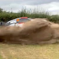 Video: WRC kopvērtējuma līderis Rovanpere avarē Ipras rallija otrajā ātrumposmā