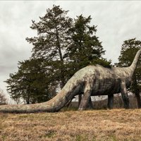 Skumji foto: Savulaik varenākais dinozauru parks grimst aizmirstībā