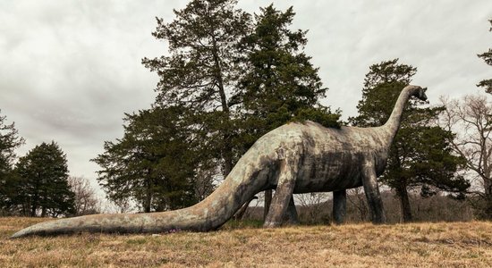 Skumji foto: Savulaik varenākais dinozauru parks grimst aizmirstībā