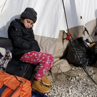 Гражданство Латвии за семь лет получили лишь четыре беженца