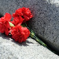 Цветы к местам снесенных памятников — не возлагать. 9 мая в Латвии: как остаться в рамках закона