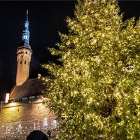 ФОТО. Завидуем молча: В Таллине заработал рождественский рынок и зажглась новогодняя елка