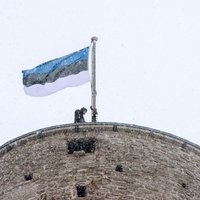 Парламент Эстонии планирует признать российский режим террористическим