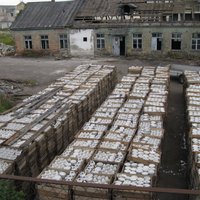 ФОТО: Десятки тысяч фарфоровых изделий лежат за забором "Керамики" (обновлено: комментарий Akropole)