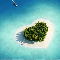 Četras neparastas salas sirds formā