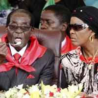 Mugabe 91. dzimšanas dienā mielojas pat ar ziloņu gaļu