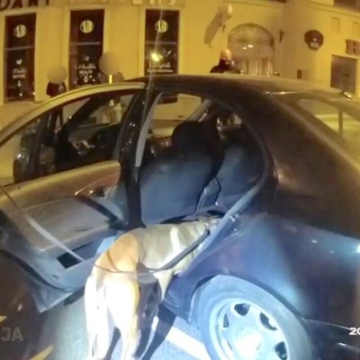 Video: Policija aptur iereibušu autovadītāju; kinologs ar dienesta suni atrod narkotikas